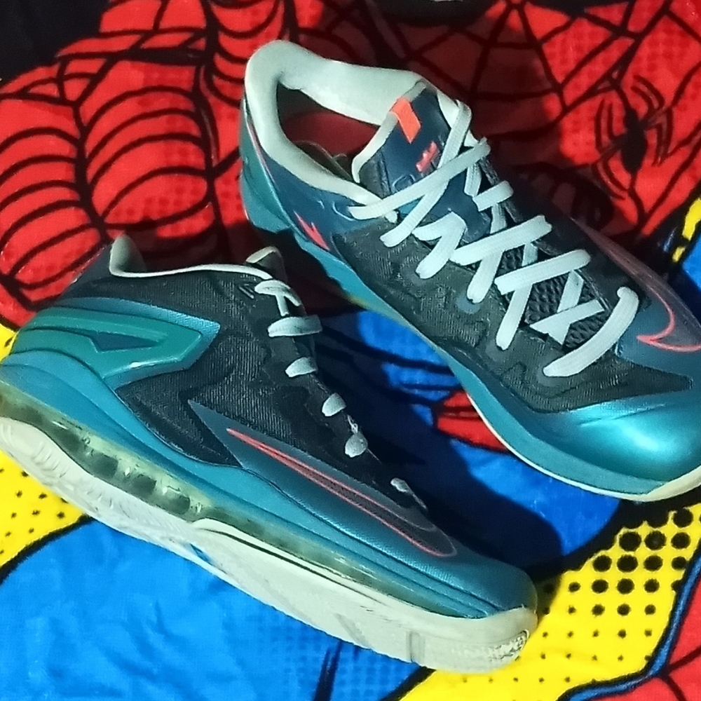 Lebron 11 low